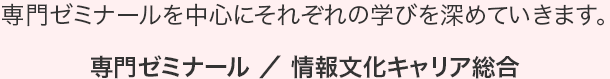 専門ゼミナール ／ 情報文化キャリア総合