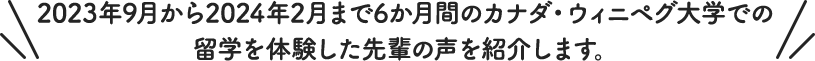2023年9月から2024年2月まで6か月間のカナダ・ウィニペグ大学での留学を体験した先輩の声を紹介します。 