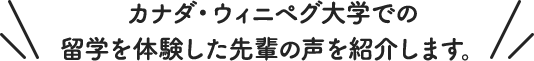 カナダ・ウィニペグ大学での留学を体験した先輩の声を紹介します。