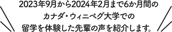 2023年9月から2024年2月まで6か月間のカナダ・ウィニペグ大学での留学を体験した先輩の声を紹介します。 
